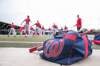 Nats spring training generic