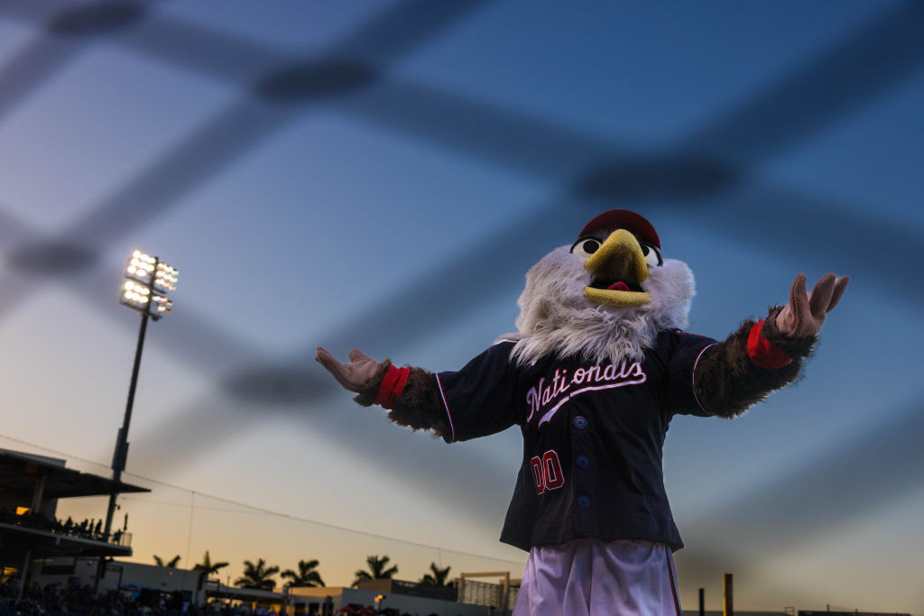 Nats mascot "Screech"