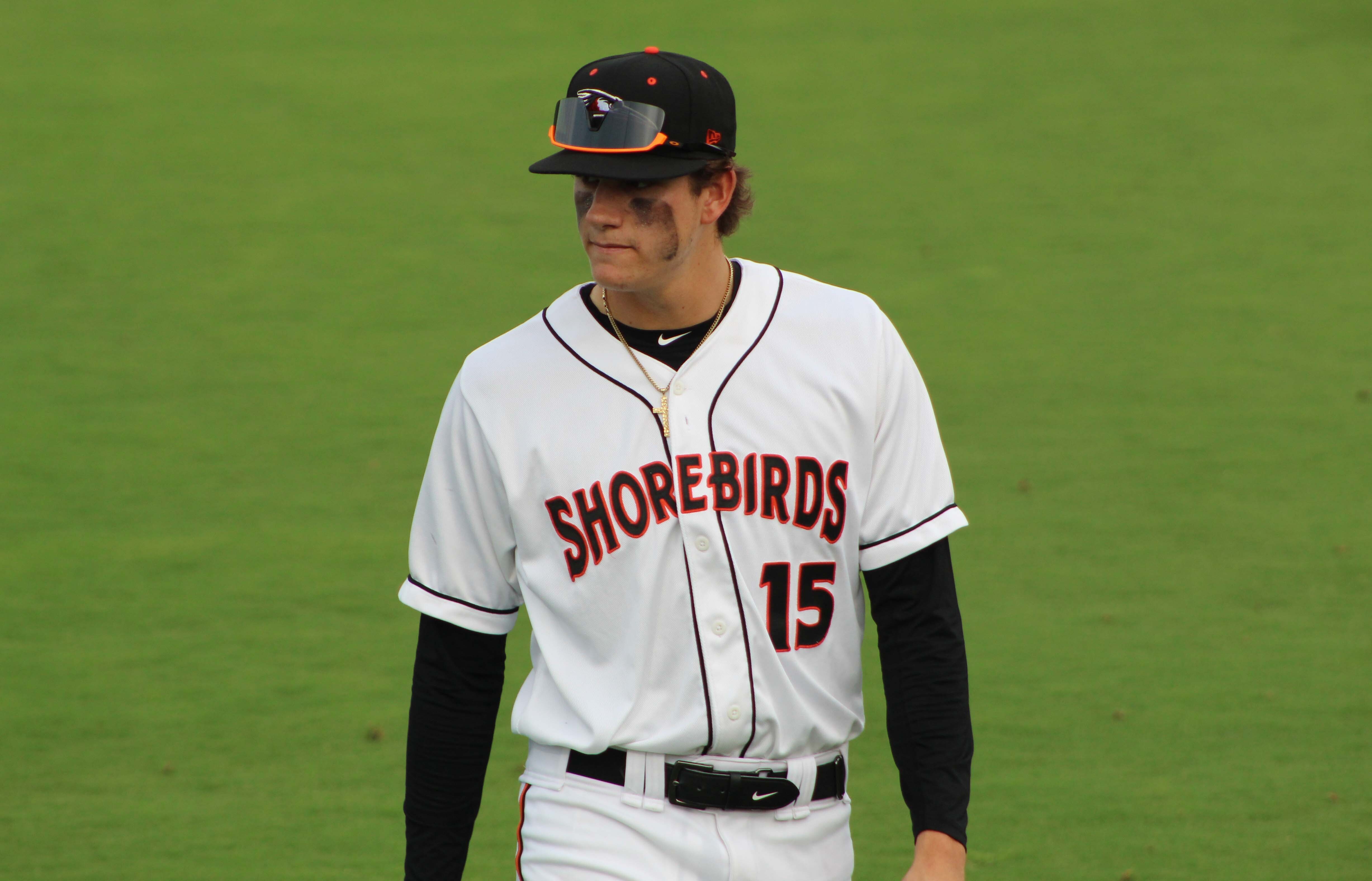 Jackson Holliday named Baseball America's Minor League Player of the Year -  Blog